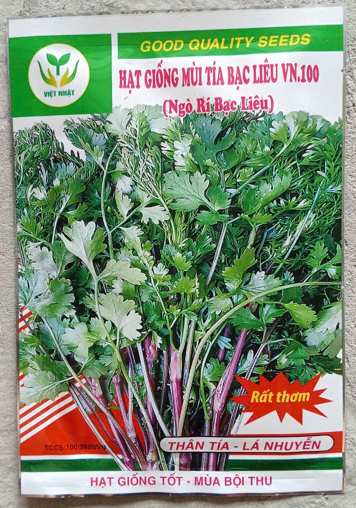 Mùi Tía Bạc Liêu VN.100 (Ngò rí Bạc Liêu)