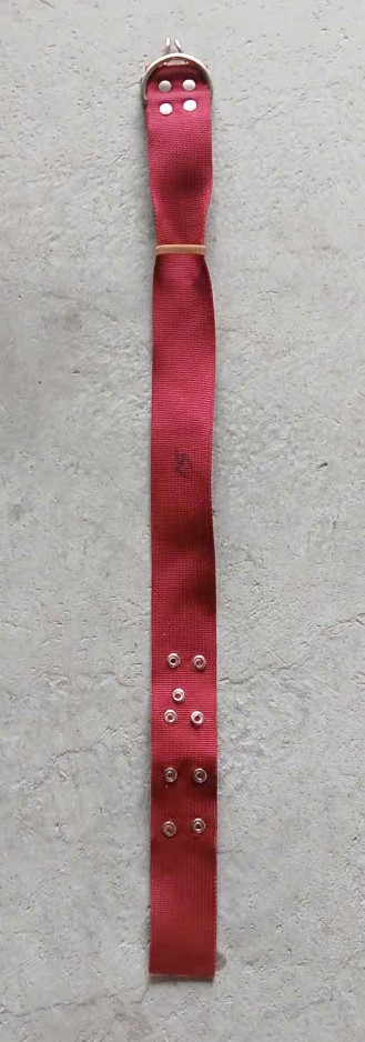 Dây Xích Cổ Chó Mèo ( Chiếc )