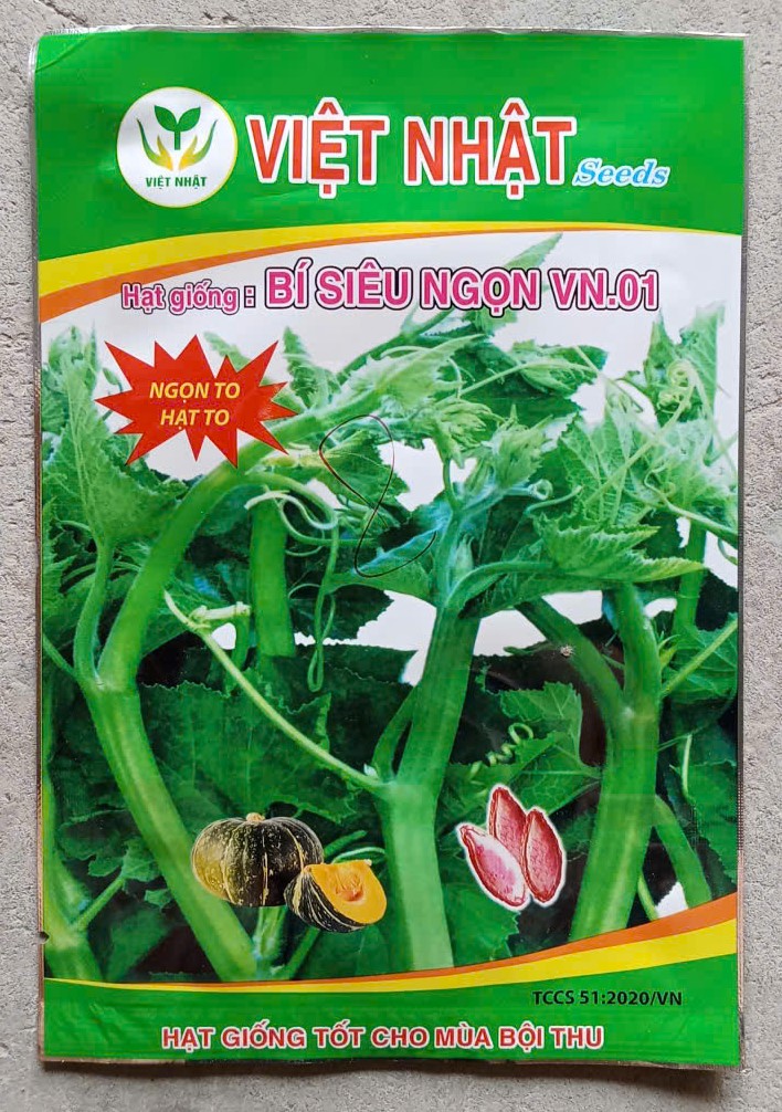 Bí Siêu Ngọn VN.01 - Việt Nhật Seeds