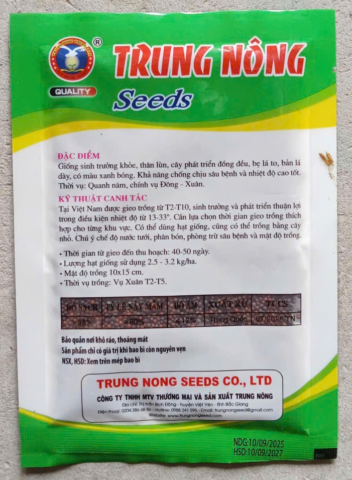 Cải Chíp Xanh Lùn TN08
