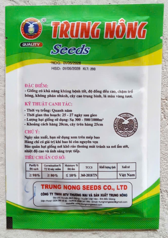 Cải Bẹ Vàng (Ngọt) Chịu Nhiệt Hà Giang