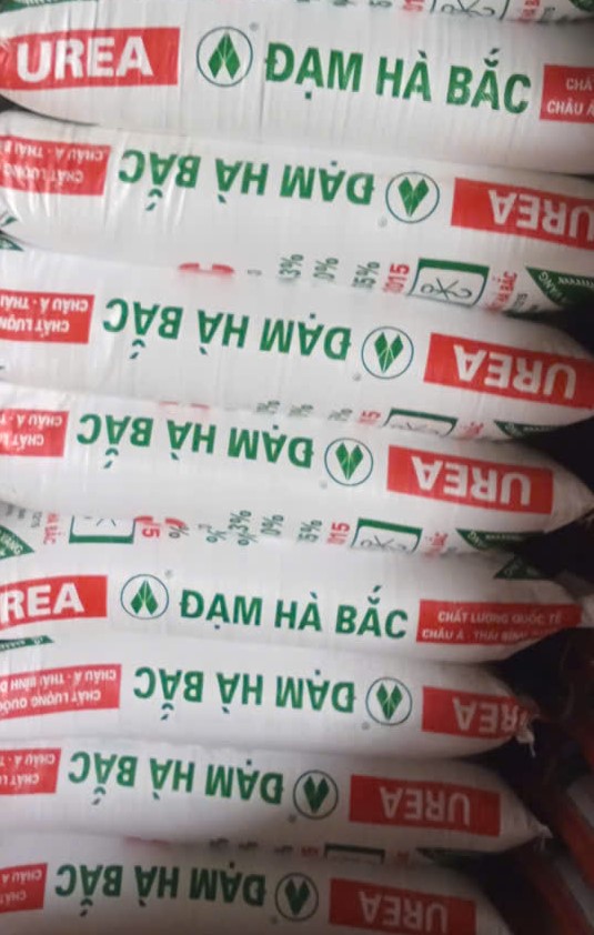 ĐẠM HÀ BẮC ( 700k )