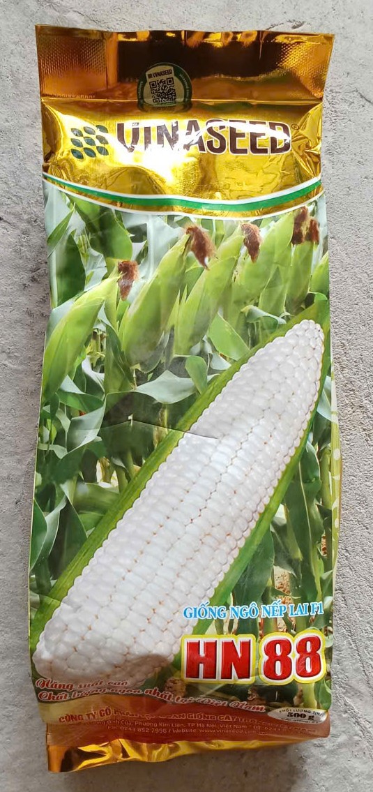 Ngô Nếp Lai F1 HN 88 - Vinaseed ( Lạng )