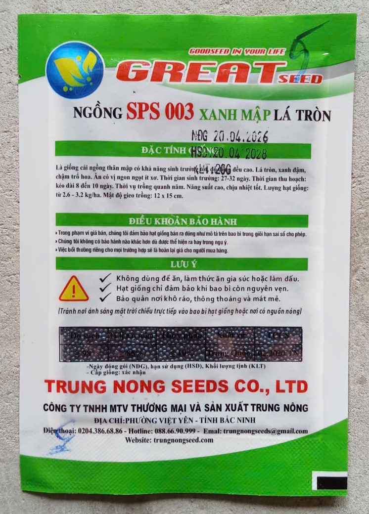 Ngồng SPS 003 xanh mập lá tròn - GREAT SEED