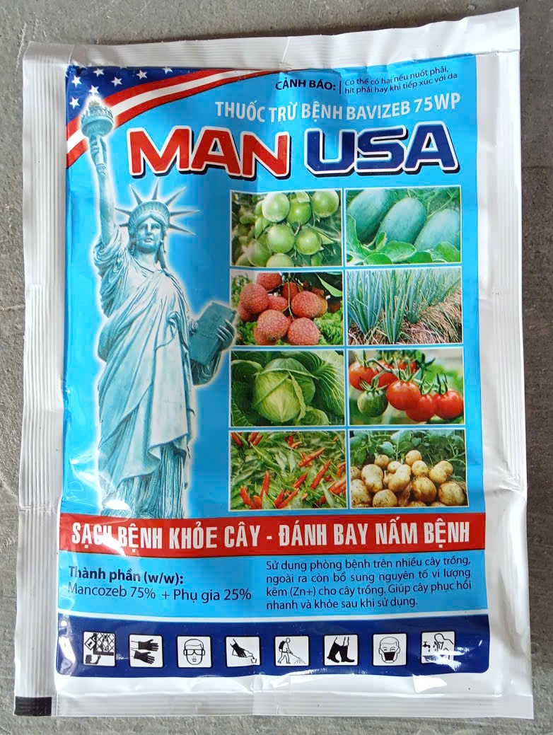 MAN USA ( Ghẻ sẹo, thối rễ, thối búp )