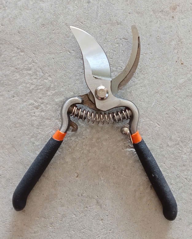 Kéo Cắt Cành Cây ( Chiếc )
