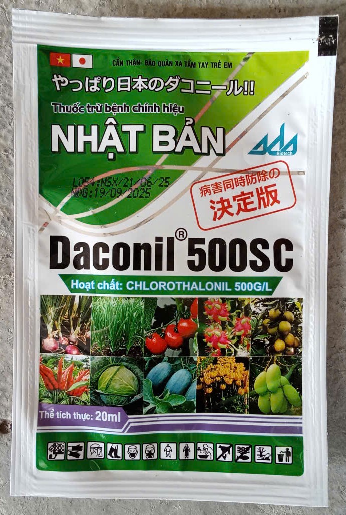 Daconil® 500SC ( Sương mai, Thán thư )