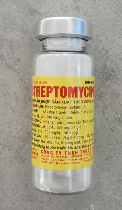 STREPTOMYCIN ( Đường Ruột )