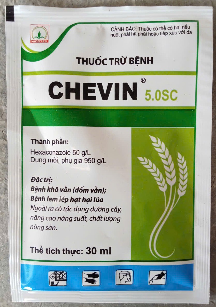 CHEVIN ( Khô vằn, lem lép hạt )