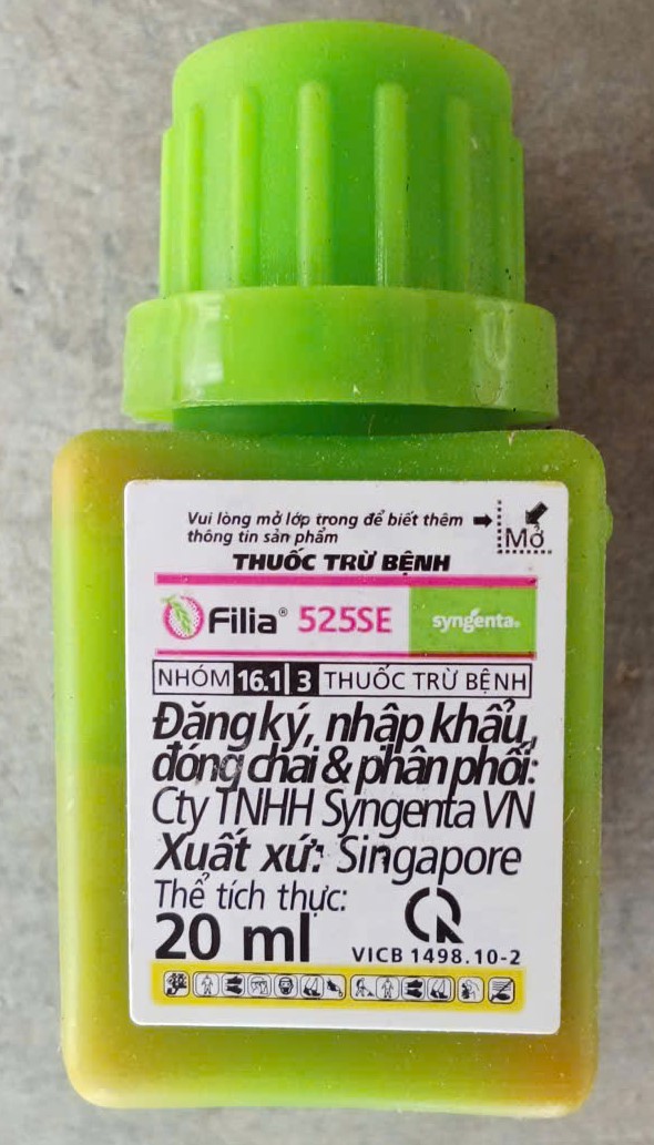 Filia 525SE ( Đạo ôn lá, Cổ Bông )