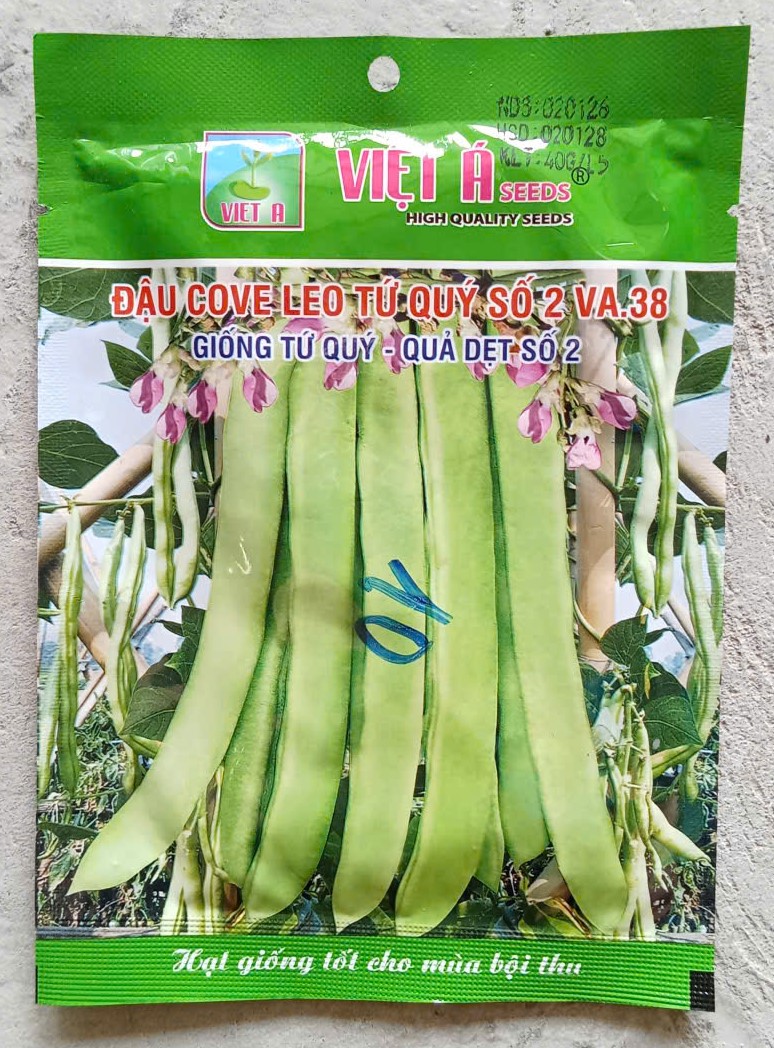 Đậu cove leo tứ quý số 2 VA.38 - VIỆT Á SEEDS