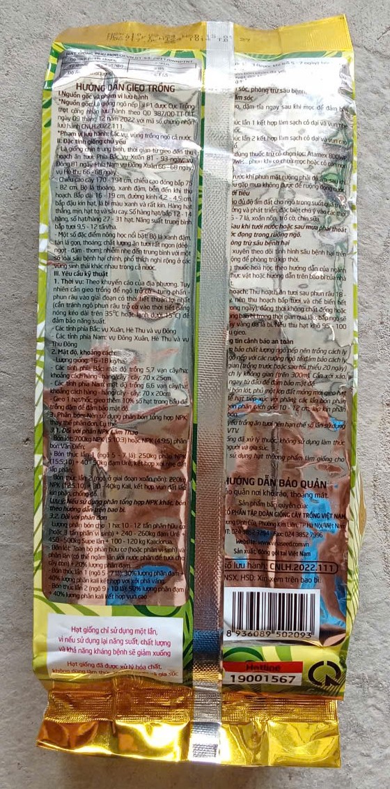 Ngô Nếp Lai F1 HN 88 - Vinaseed ( Lạng )