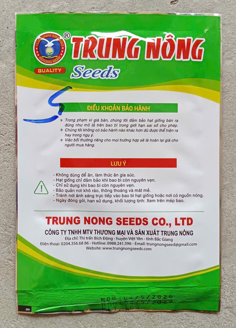 Thì Là Bốn Mùa Xanh Thơm TN183 ( Gói )