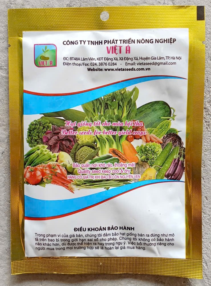 Cải cúc nếp cao sản (VA.44) - VIỆT Á SEEDS