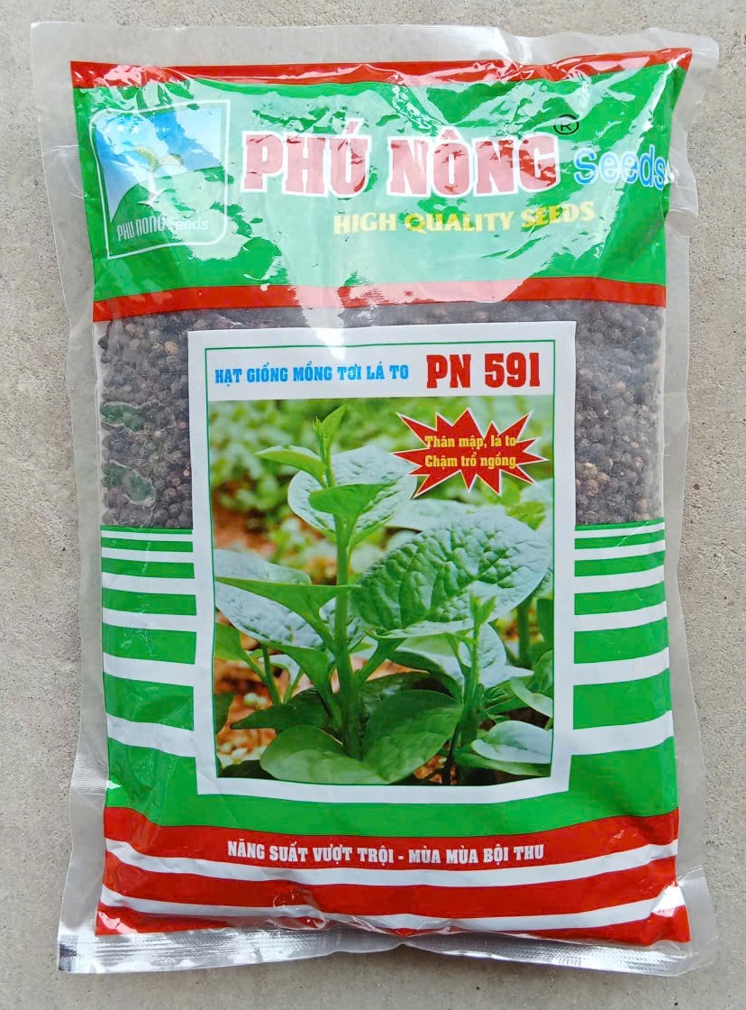 Mồng Tơi Lá To CDX 079 ( Lạng )