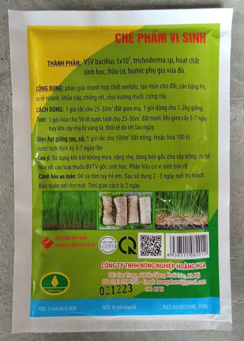 Gieo mạ (lúa) - ươm cây trồng ( Ra rễ )