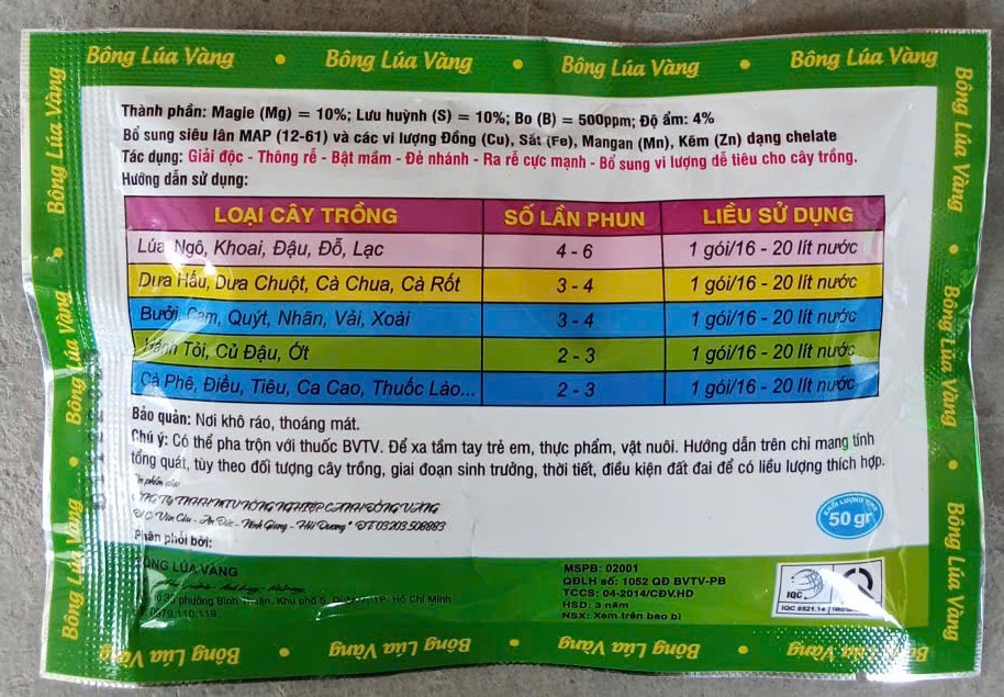 SIÊU LÂN 61 ( Ra rễ, đẻ nhánh )