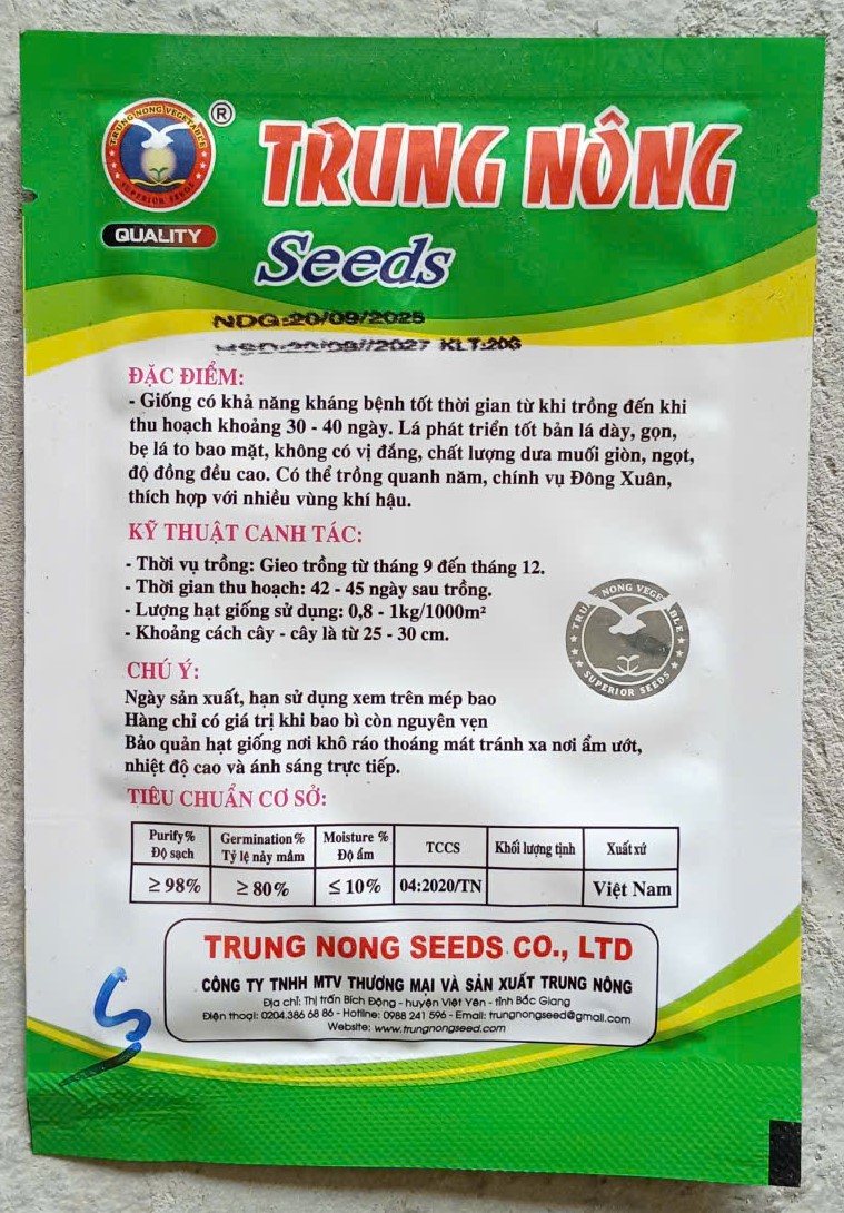 Cải Bẹ Dưa Chịu Nhiệt TN318 ( Cải Tàu )