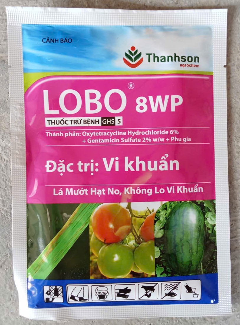 LOBO ( Bệnh do Vi Khuẩn,  lép hạt )