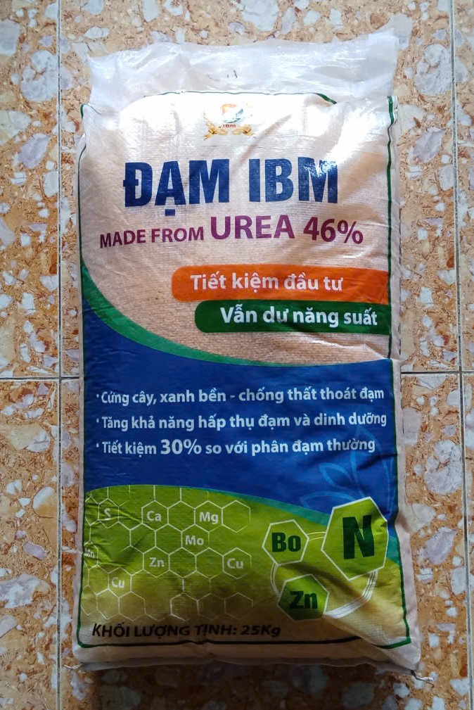 Đạm Vàng IBM ( 300k )