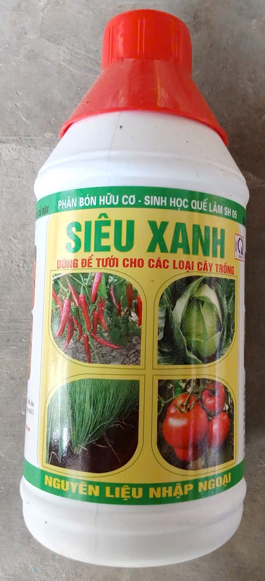 Siêu Xanh ( Thân, Lá, Quả )