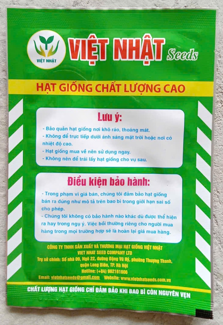 Thì Là 4 Mùa VN.100 - VIỆT NHẬT Seeds