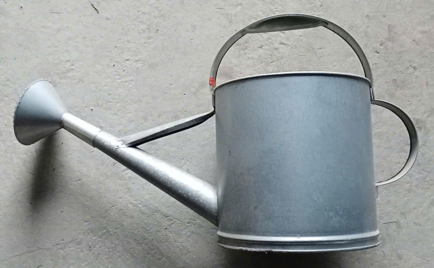 Zoa Tưới Sắt Tròn Nhỏ