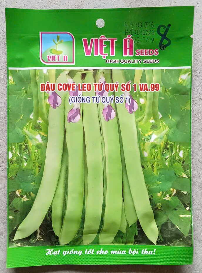 Đậu cove leo tứ quý số 1 VA.99