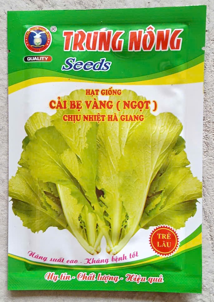 Cải Bẹ Vàng (Ngọt) Chịu Nhiệt Hà Giang