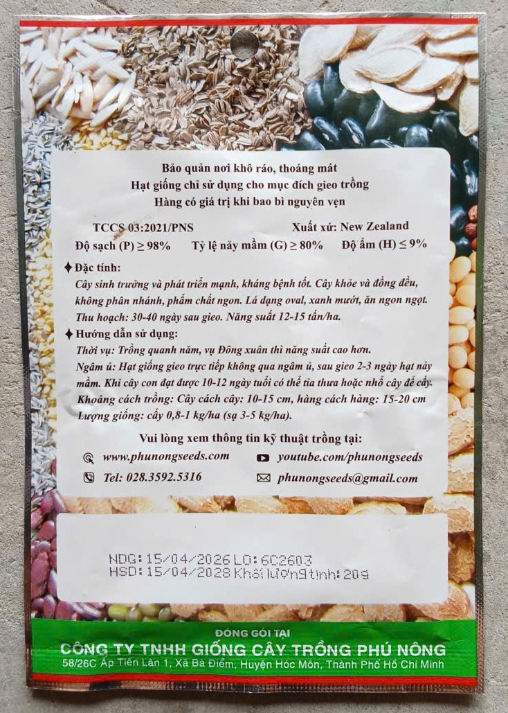 Cải Ngọt PN 02 ( Cải Thìa )